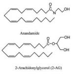 endo_anandamide_2AG